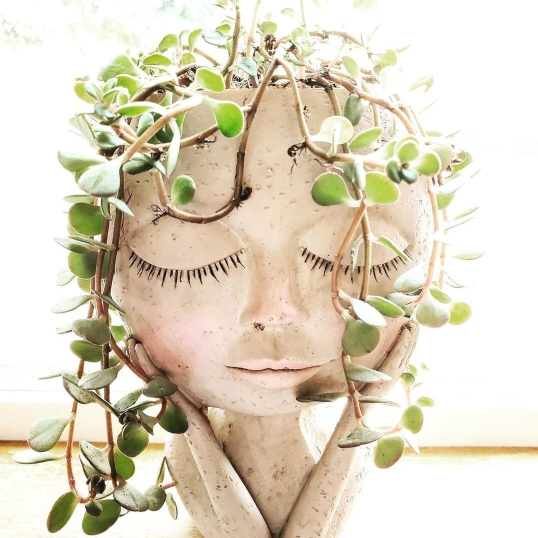 Avatar for @SwiftBrushbox on Greg, the plant care app