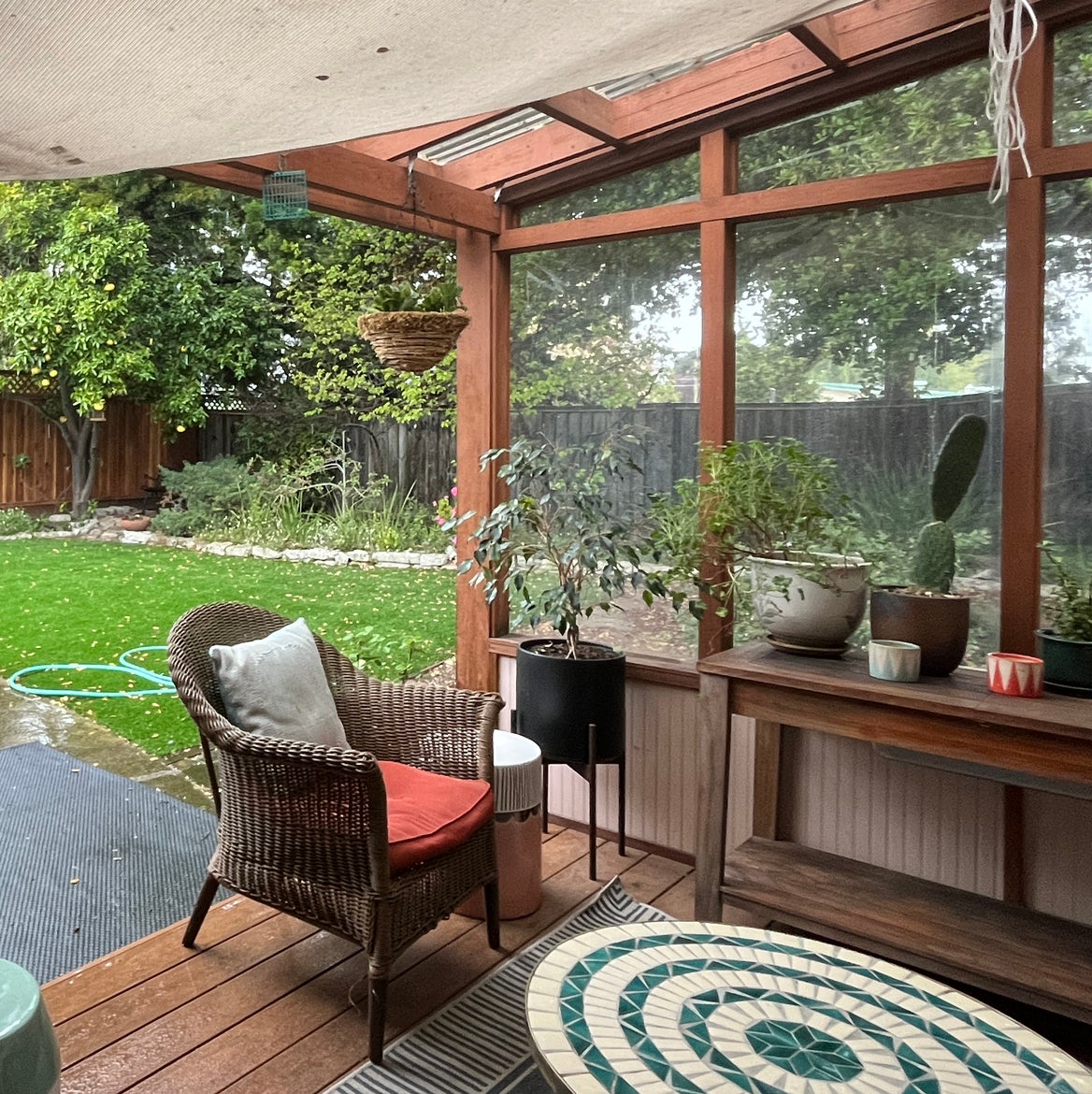 Avatar for @KindCineraria on Greg, the plant care app