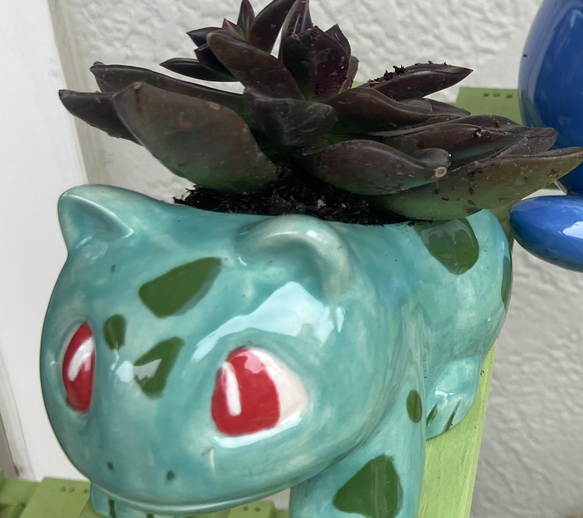 Avatar for @Cestlorv on Greg, the plant care app