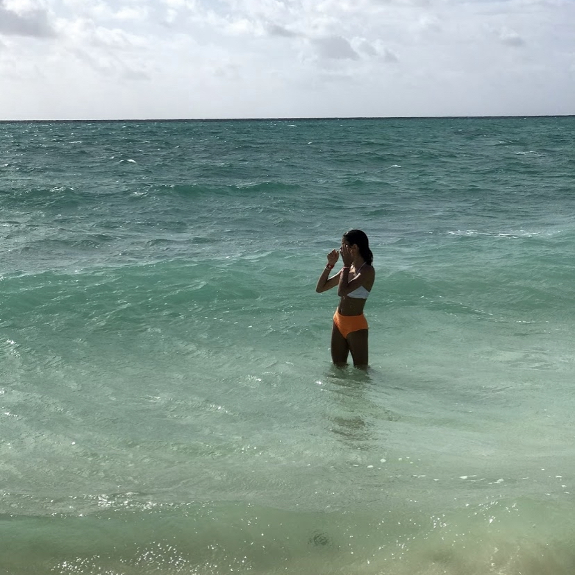 @Plant_daddy69 avatar