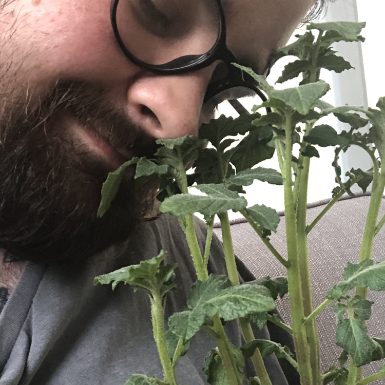 Avatar for @CNR6160 on Greg, the plant care app