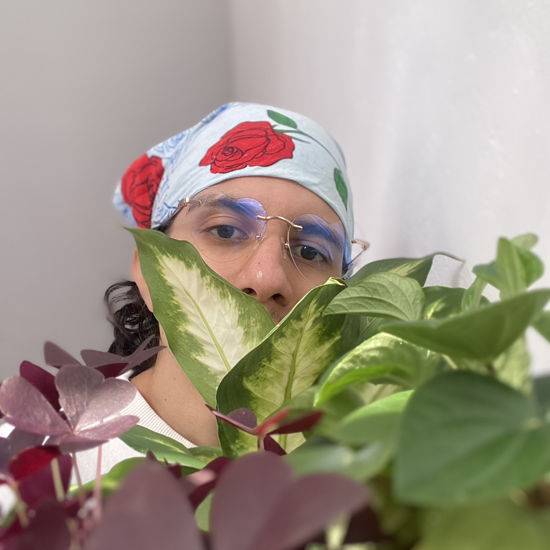 Avatar for @abdielomar on Greg, the plant care app