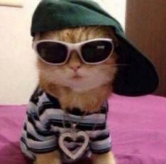 Avatar for @paiges.greenhouse on Greg, the plant care app