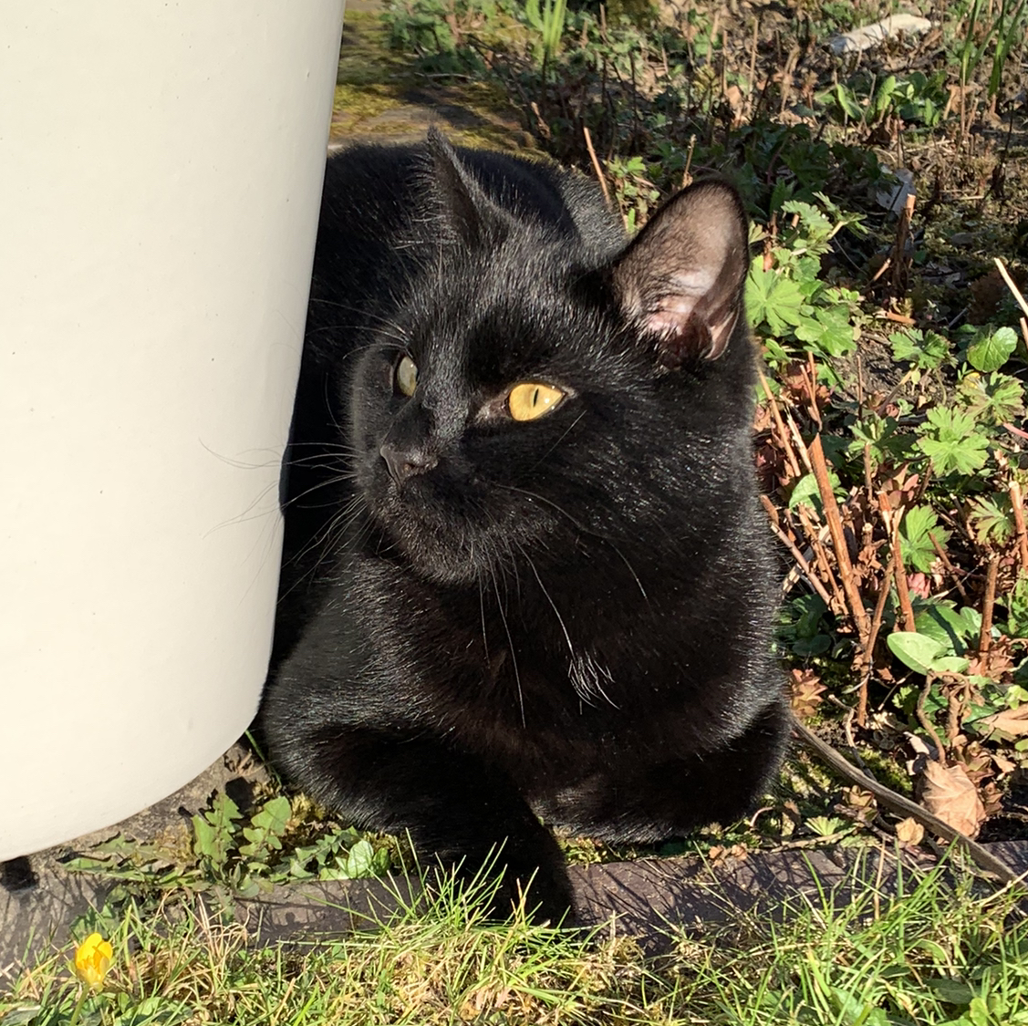 Avatar for @OliviaGrace04 on Greg, the plant care app