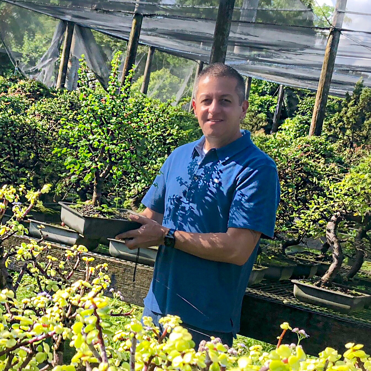 Avatar for @Mattos_Shohin on Greg, the plant care app