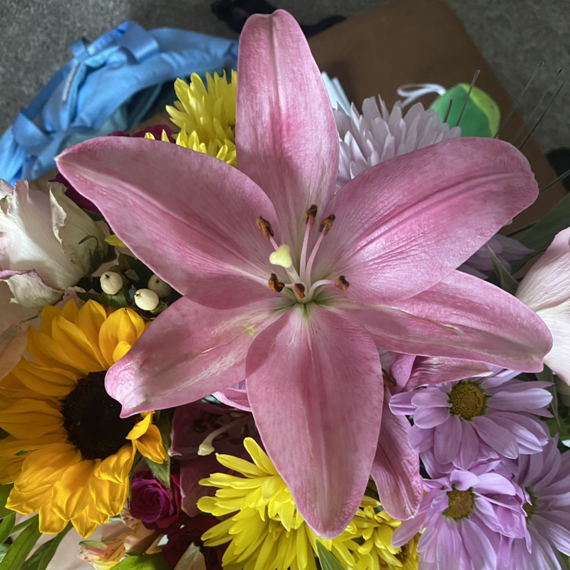 @YeahScallions avatar