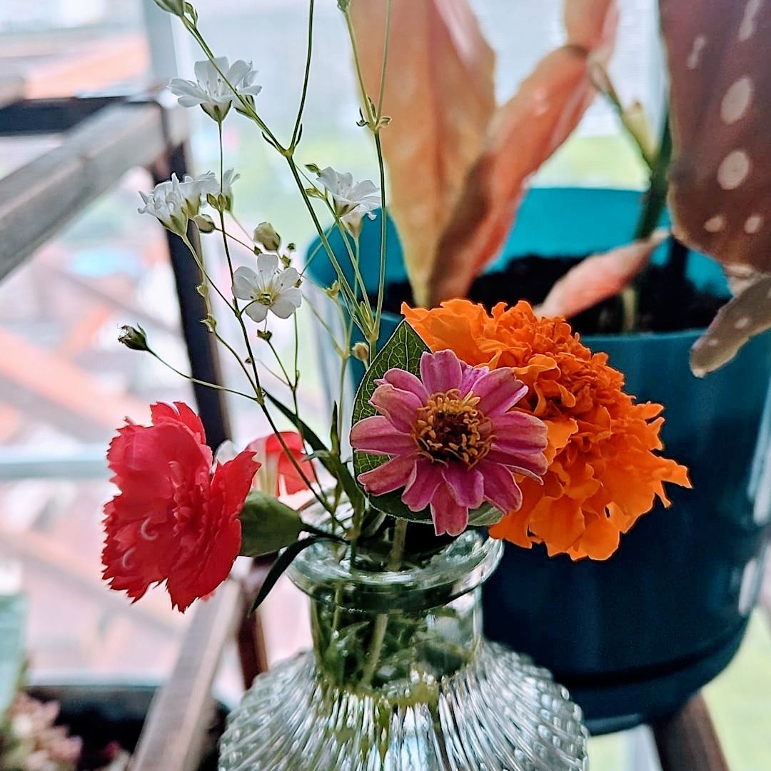 Avatar for Kayla on Greg, the plant care app