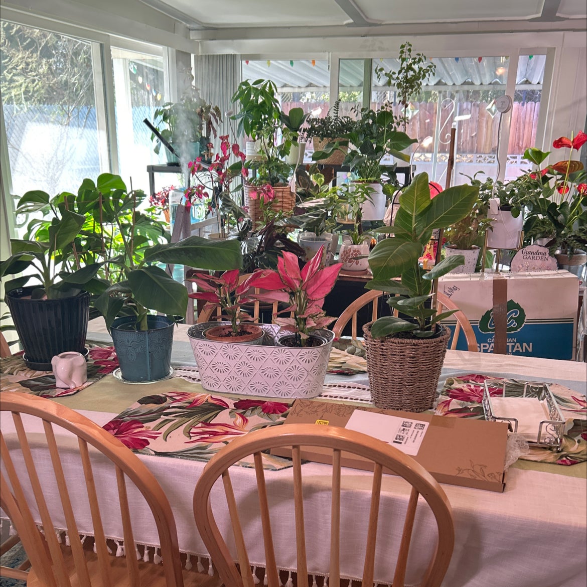 @Shells_Garden avatar