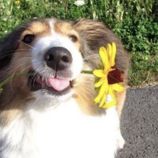 Avatar for @kamryn on Greg, the plant care app