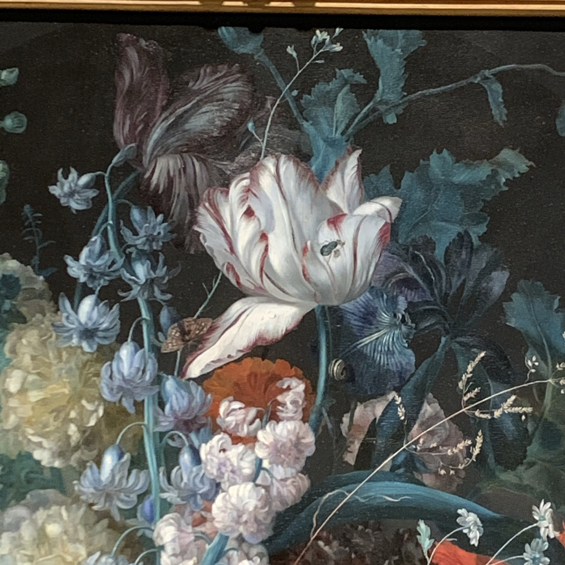 Avatar for @ixheartxsporks on Greg, the plant care app