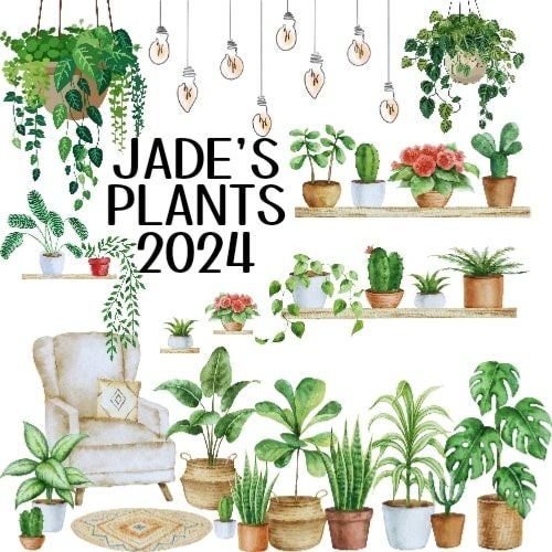 Avatar for @jadesplants2024 on Greg, the plant care app