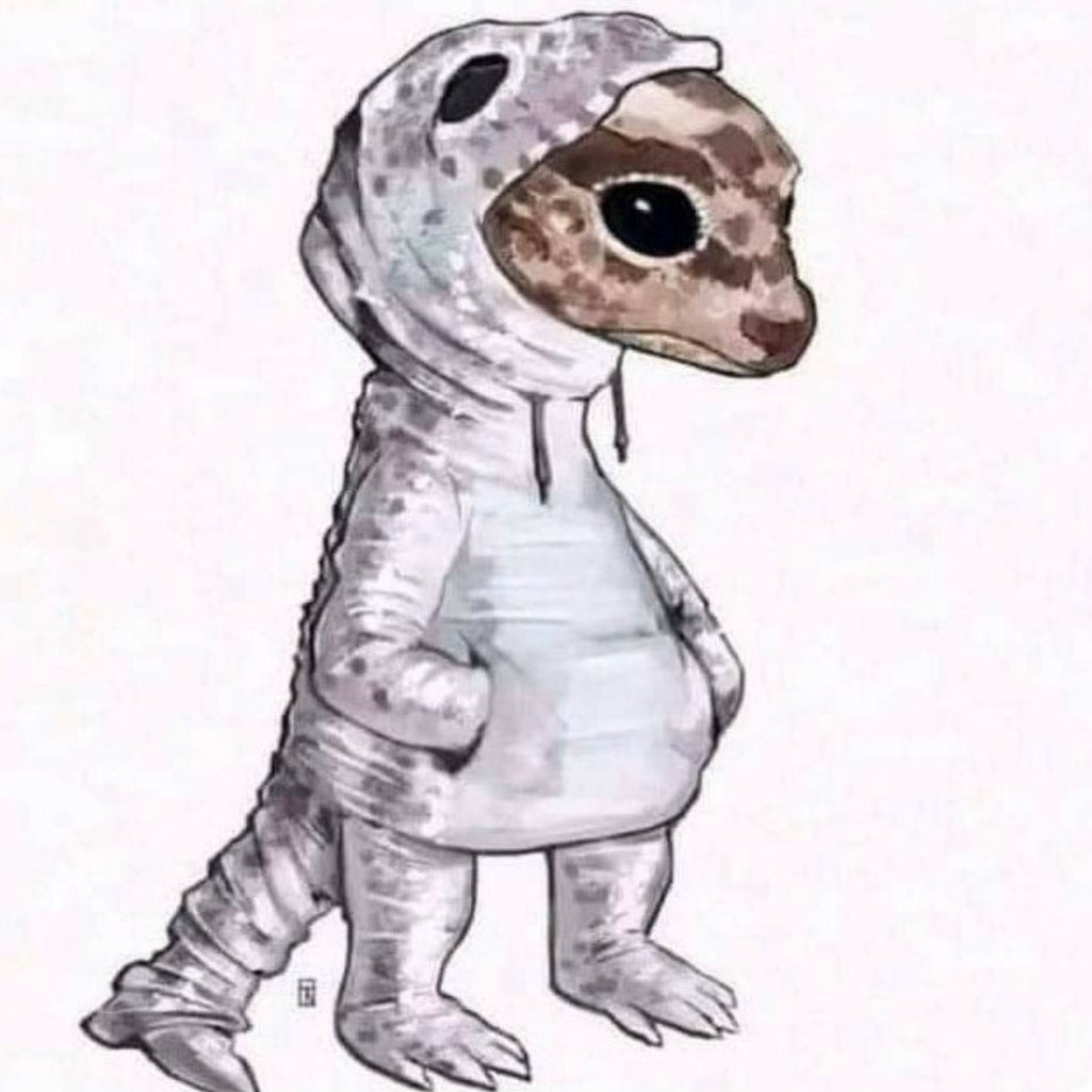 Avatar for @KKSlider on Greg, the plant care app