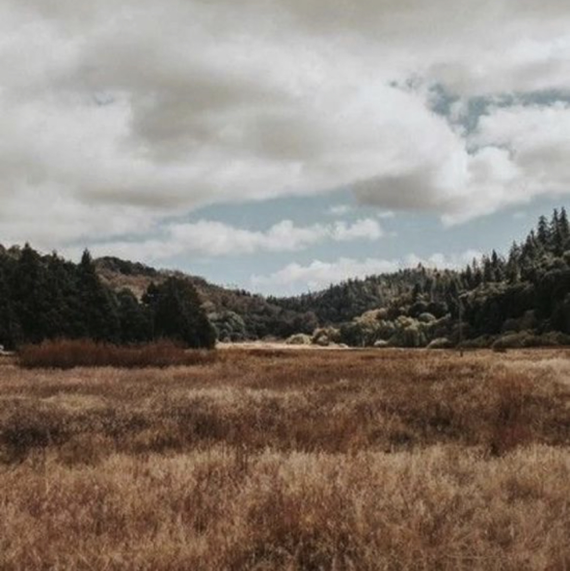 @JoyousPinoak avatar