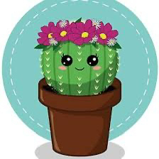 Avatar for @BestFittonia on Greg, the plant care app