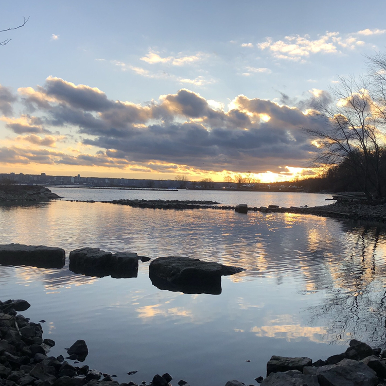 Avatar for @sienna.summers on Greg, the plant care app