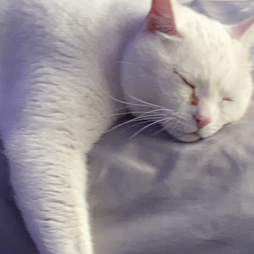 Avatar for @katykaty on Greg, the plant care app