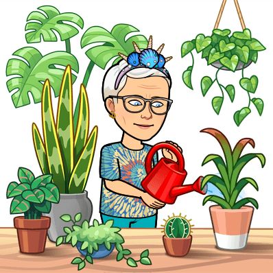 Avatar for @BookBirdPlant on Greg, the plant care app