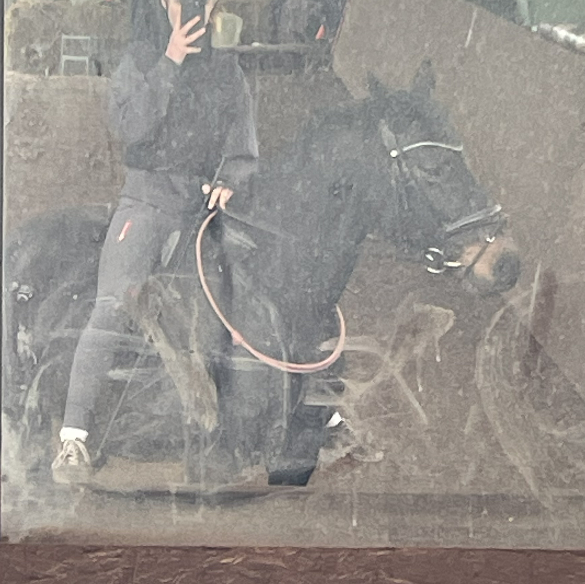 Avatar for @rieke on Greg, the plant care app