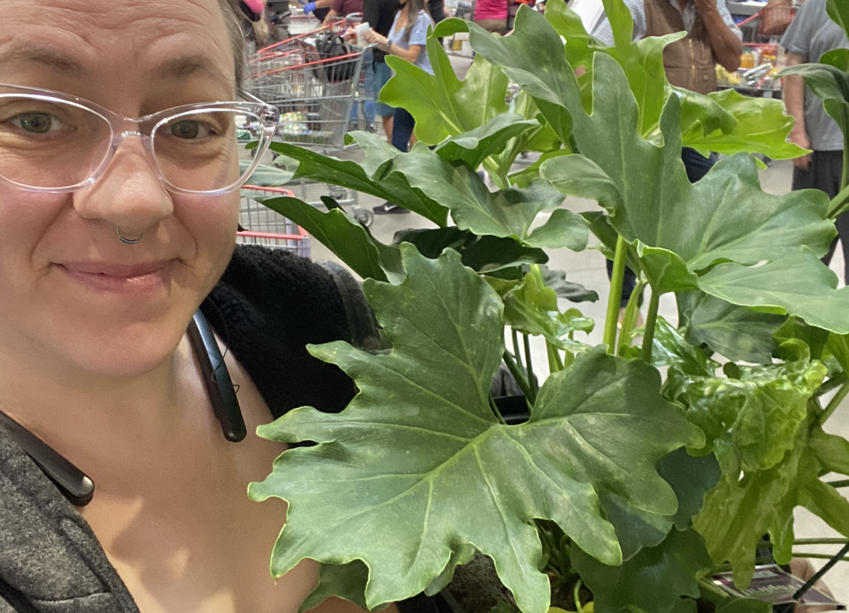 Avatar for @taggywail on Greg, the plant care app