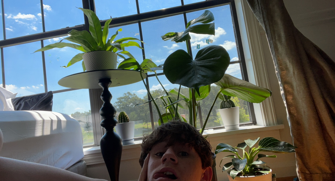 Avatar for @Nickis_lover on Greg, the plant care app