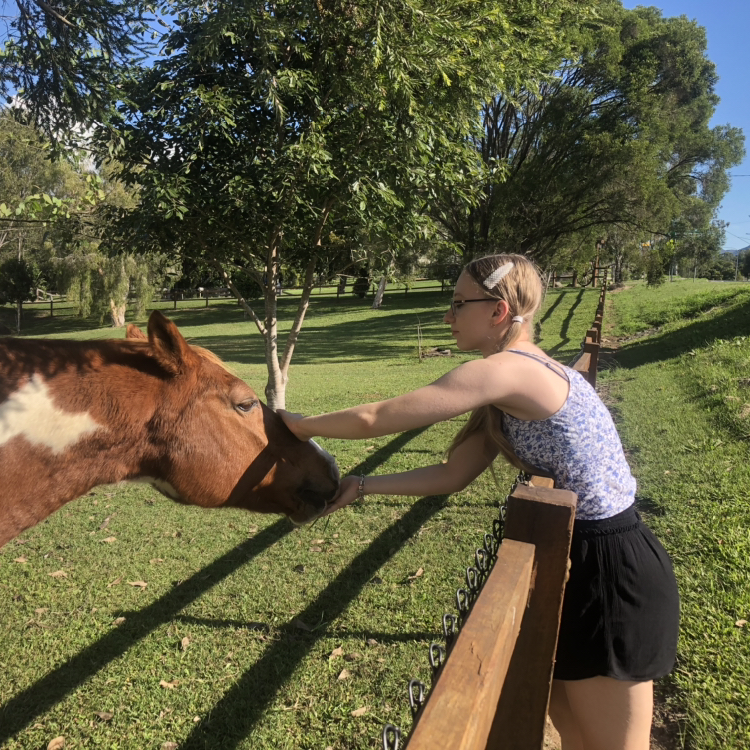 Avatar for @RochelleAnnHaines on Greg, the plant care app