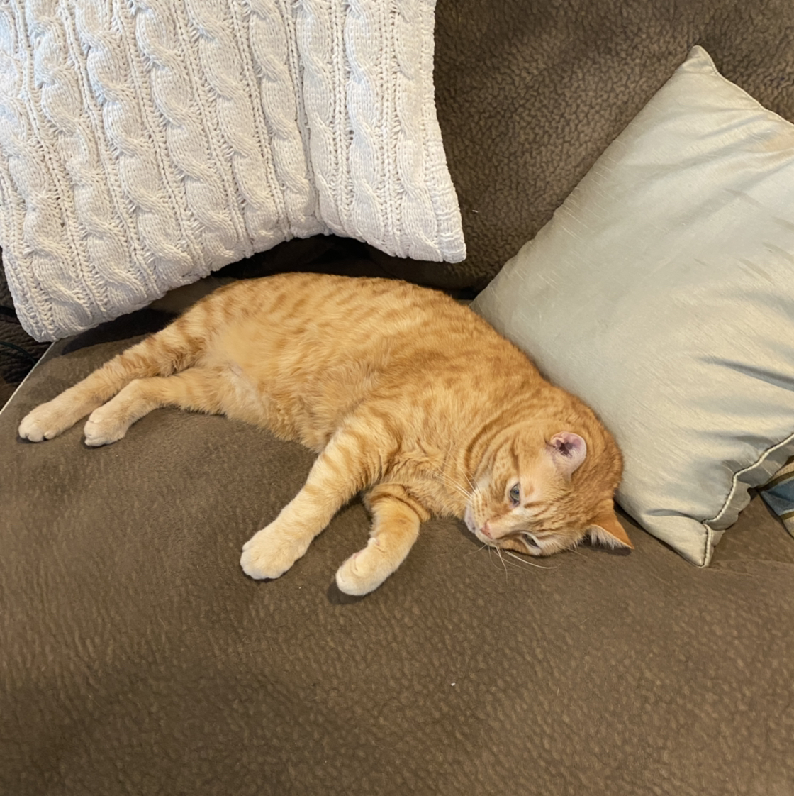 Avatar for @kyliemcmullen on Greg, the plant care app