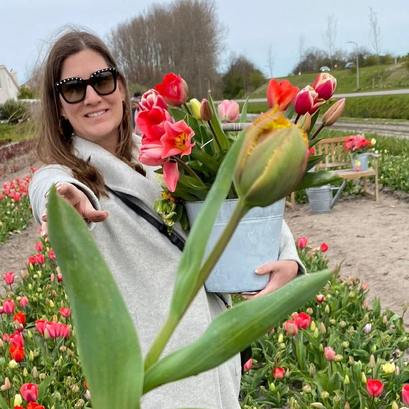 Avatar for @Califia_bb on Greg, the plant care app