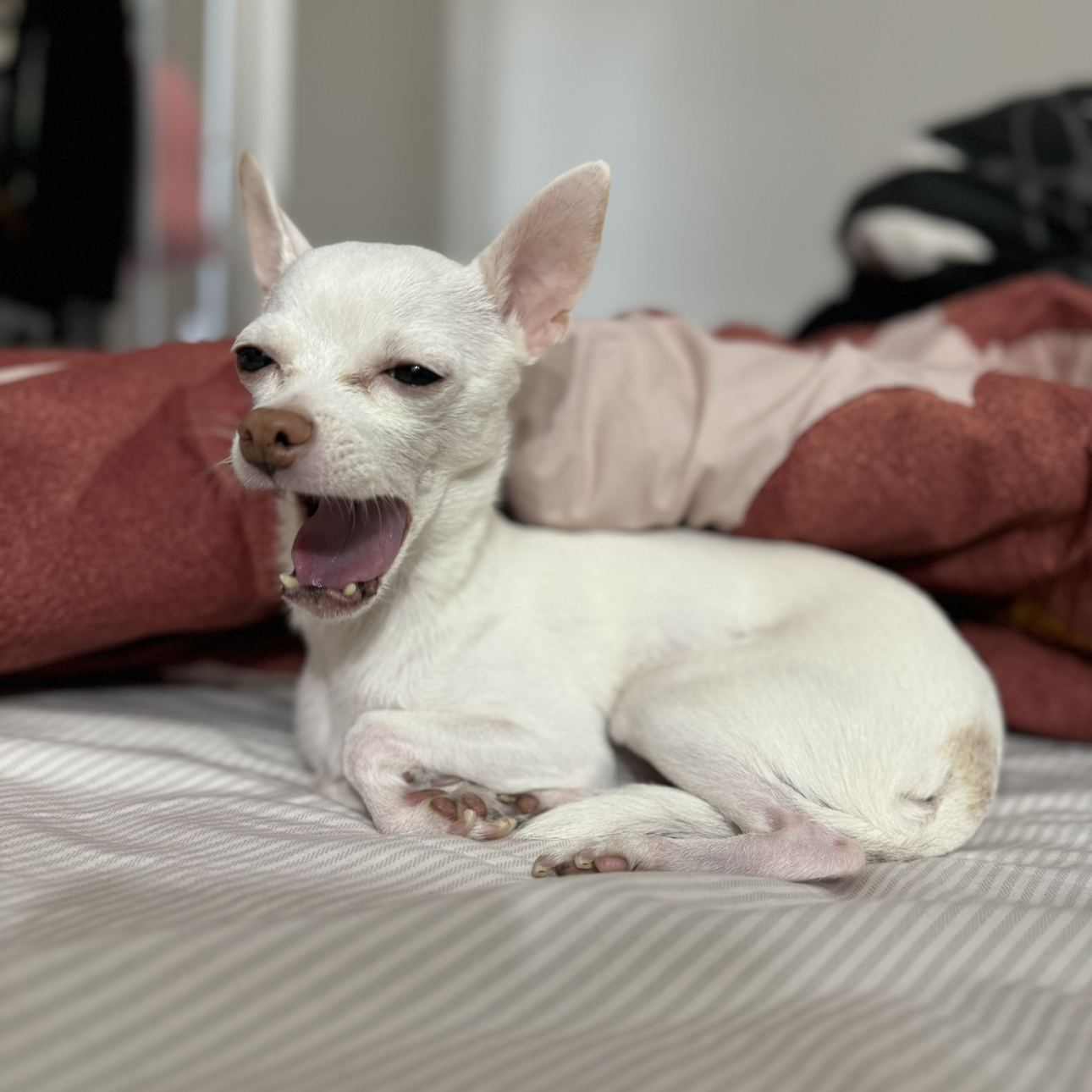 Avatar for @RichKolanuttree on Greg, the plant care app