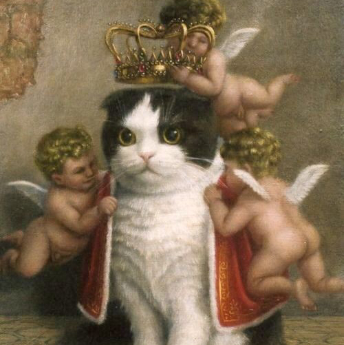 Avatar for @kurosh on Greg, the plant care app