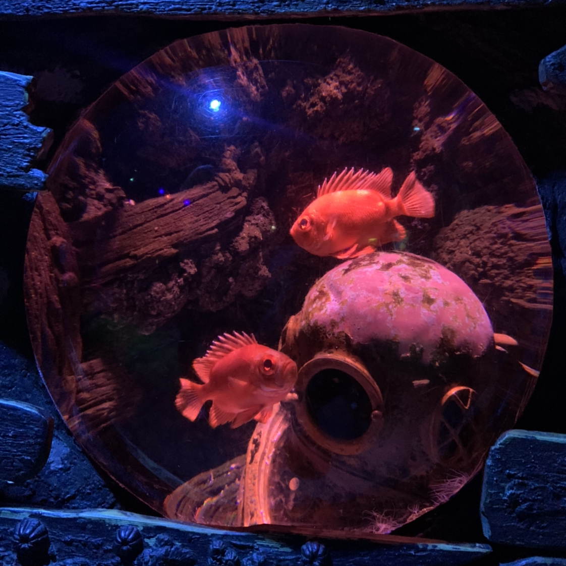 @visualkelse_ avatar