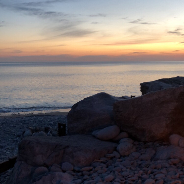 Avatar for @amoose on Greg, the plant care app