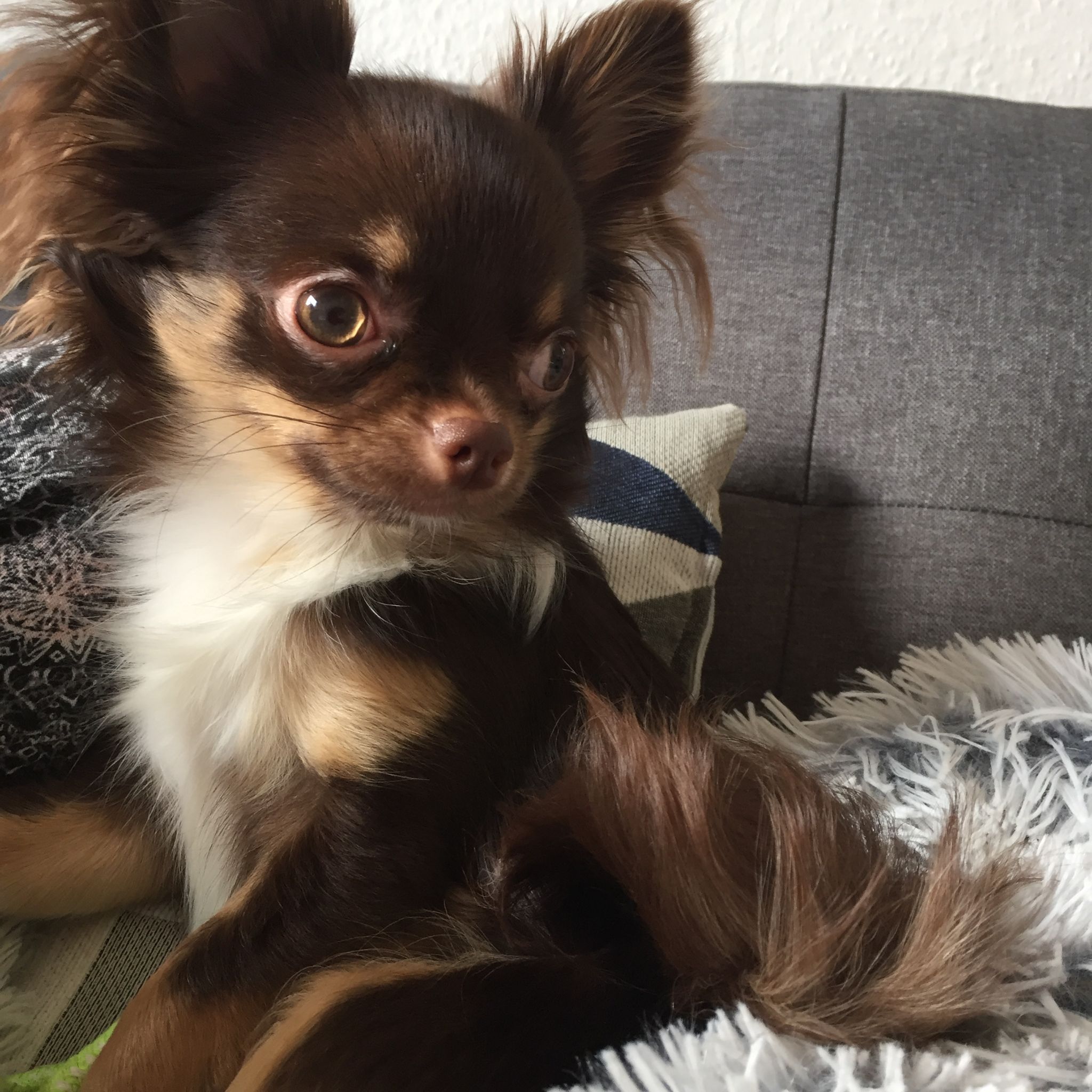 Avatar for @VitalBlusher on Greg, the plant care app