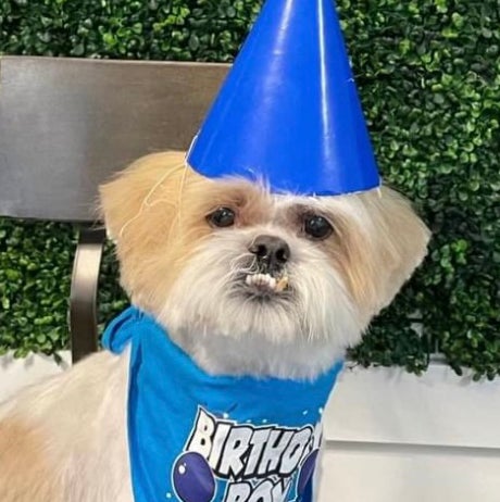 @JackHenrysMom avatar