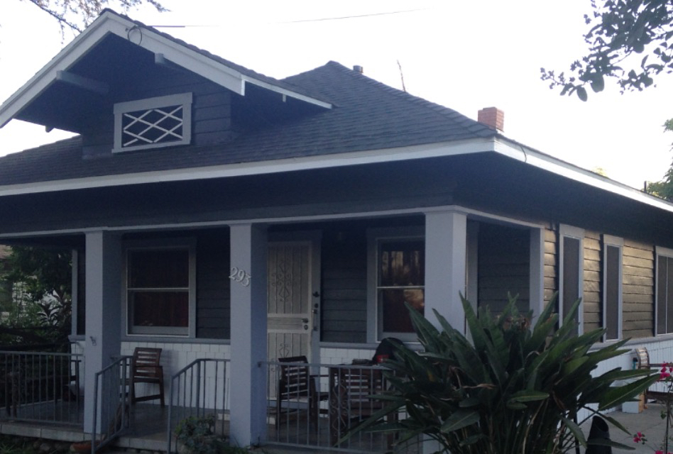 Avatar for @VileMeadows on Greg, the plant care app