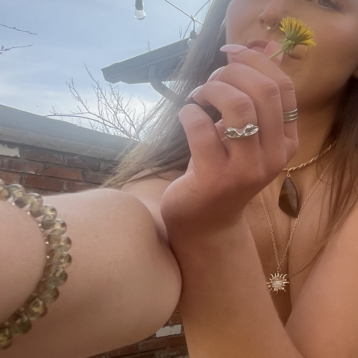 Avatar for @Mayflowers33 on Greg, the plant care app