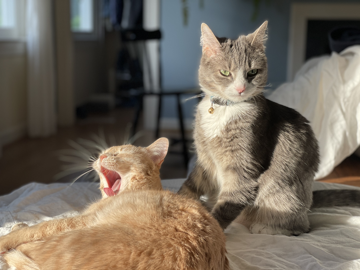 @charmingtedious avatar