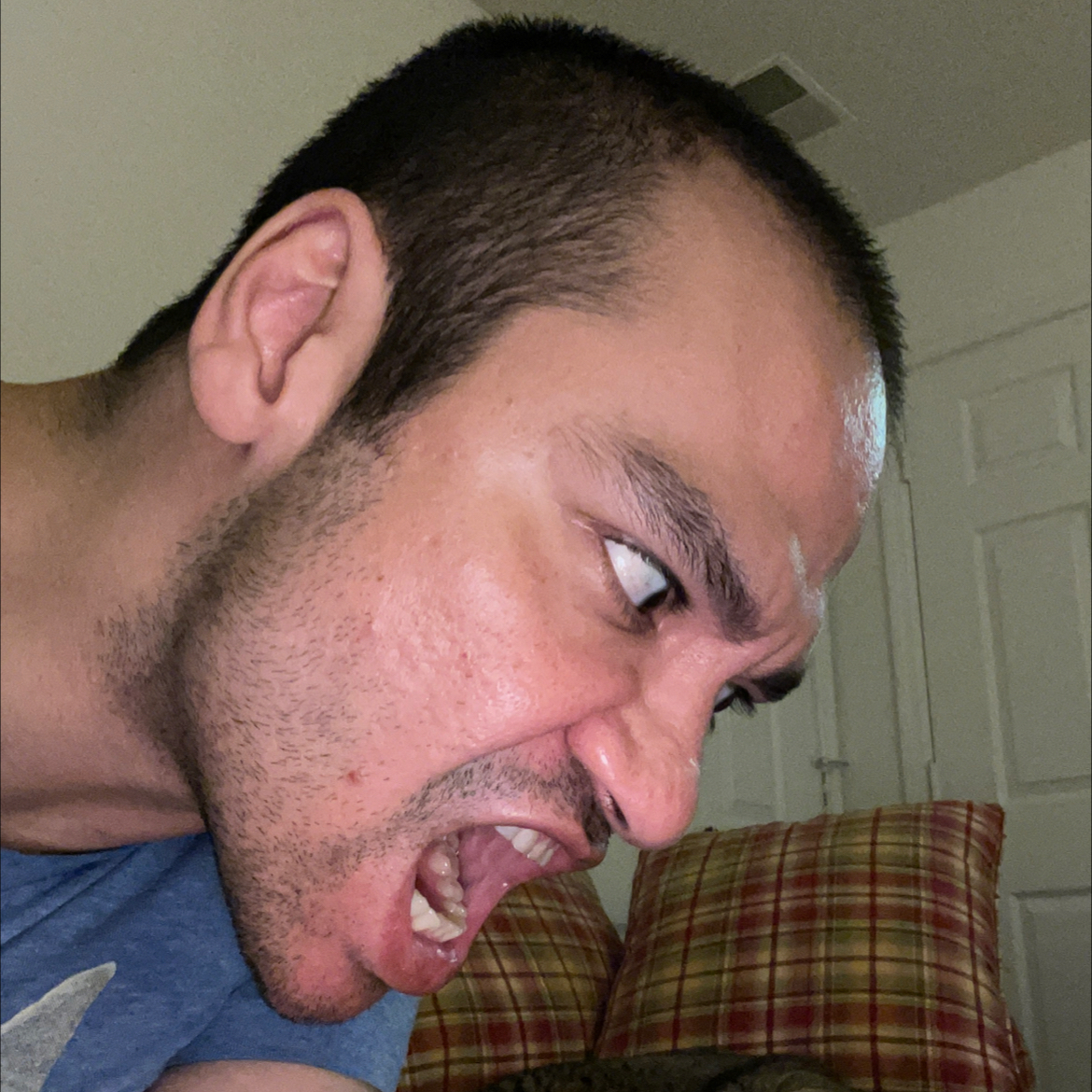 @teddyliveshere avatar