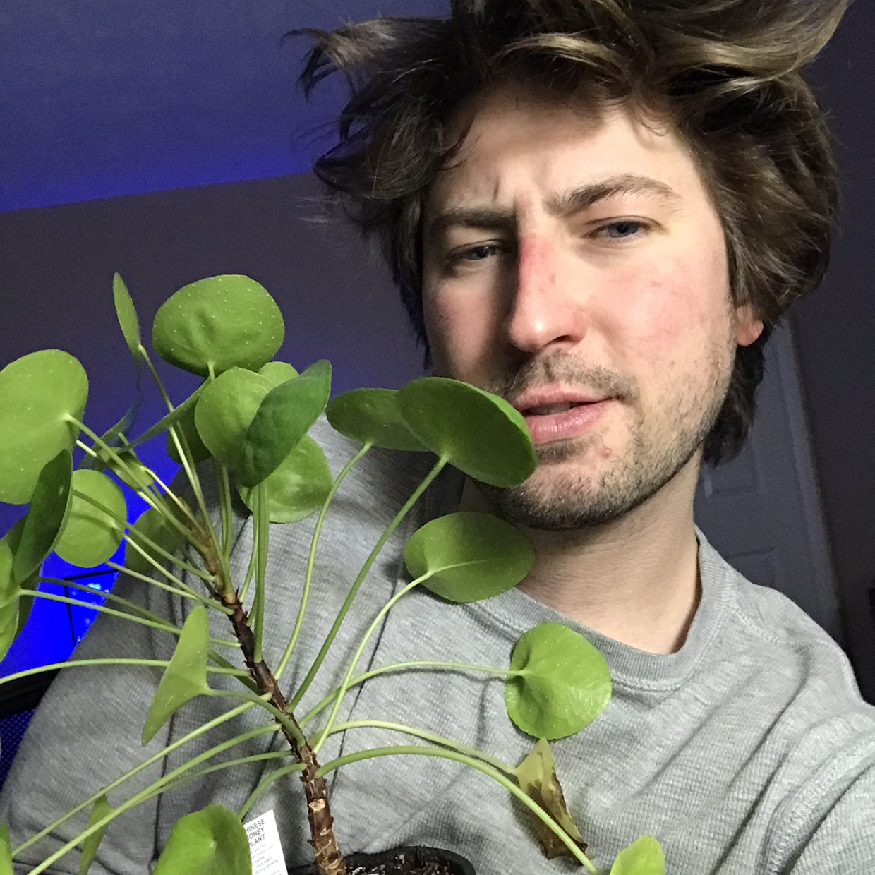 Avatar for @JohnnyAppleseed on Greg, the plant care app