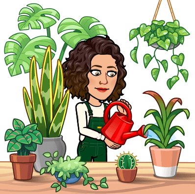 Avatar for @GarlickPtato on Greg, the plant care app