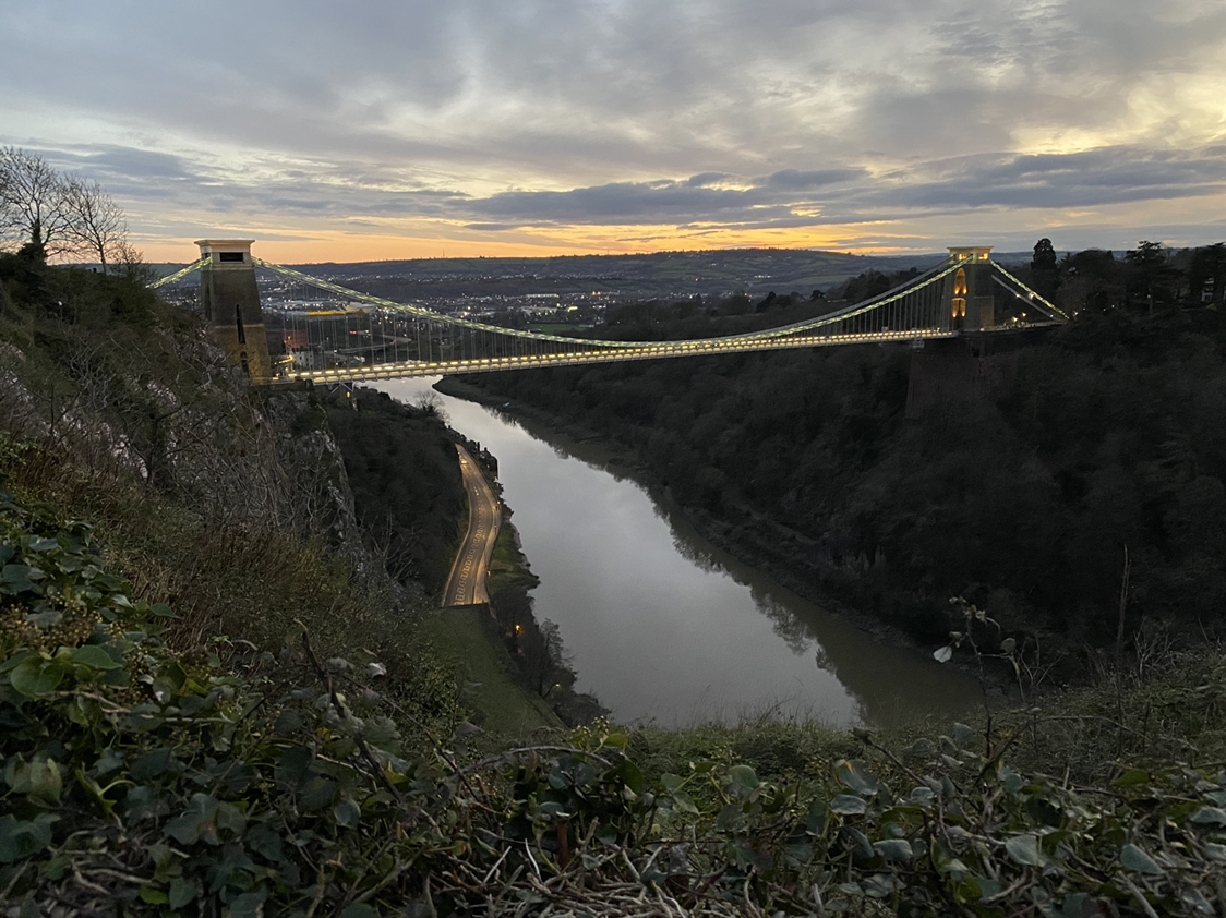 Avatar for @ashy211 on Greg, the plant care app