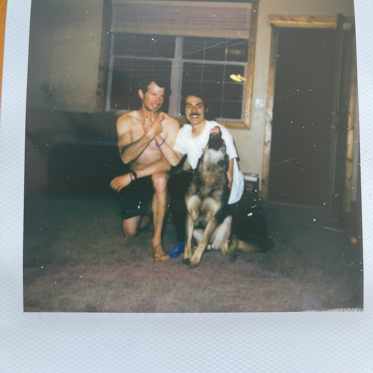 Avatar for @DabCity on Greg, the plant care app