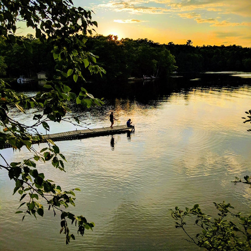 Avatar for @isabelle.rose on Greg, the plant care app