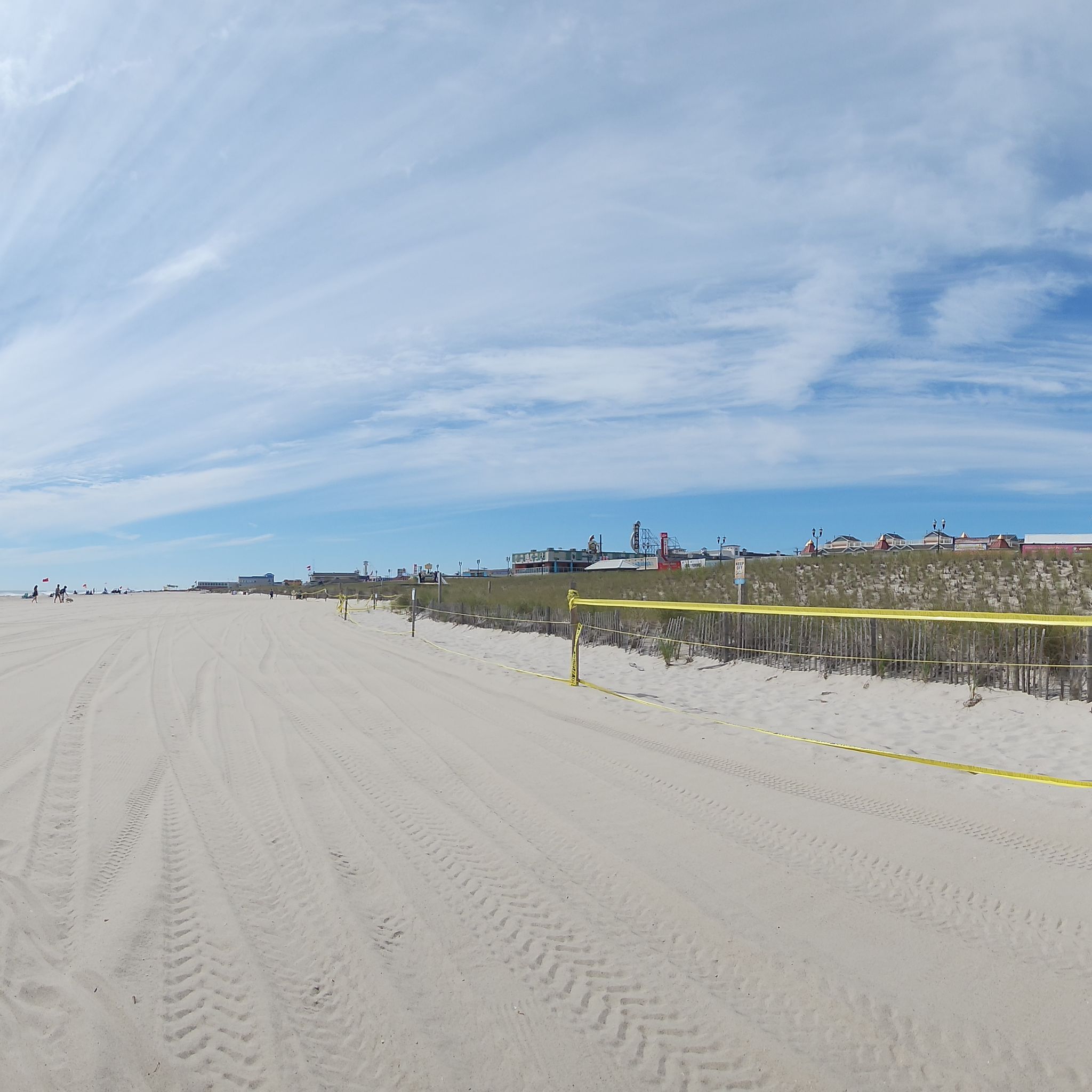 Avatar for @awright1002 on Greg, the plant care app