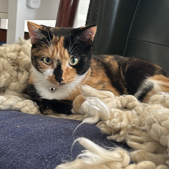 Avatar for @Natmijat on Greg, the plant care app