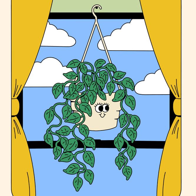 Avatar for @Kaitlynpicard on Greg, the plant care app