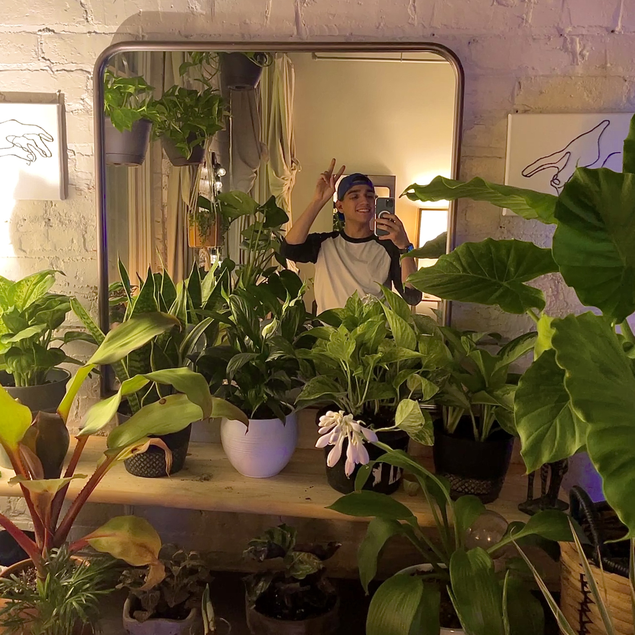 Avatar for @ggavan on Greg, the plant care app