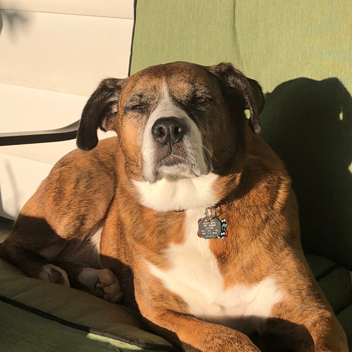 @kaylathrivesonlife29 avatar