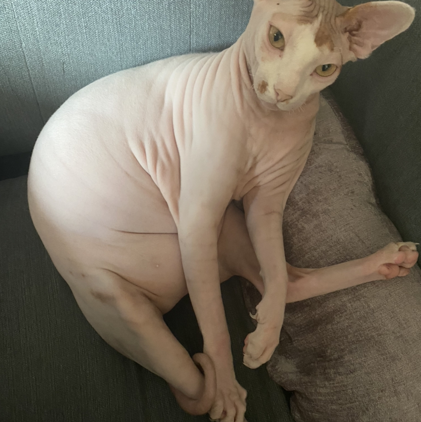 Avatar for @Alisaj on Greg, the plant care app