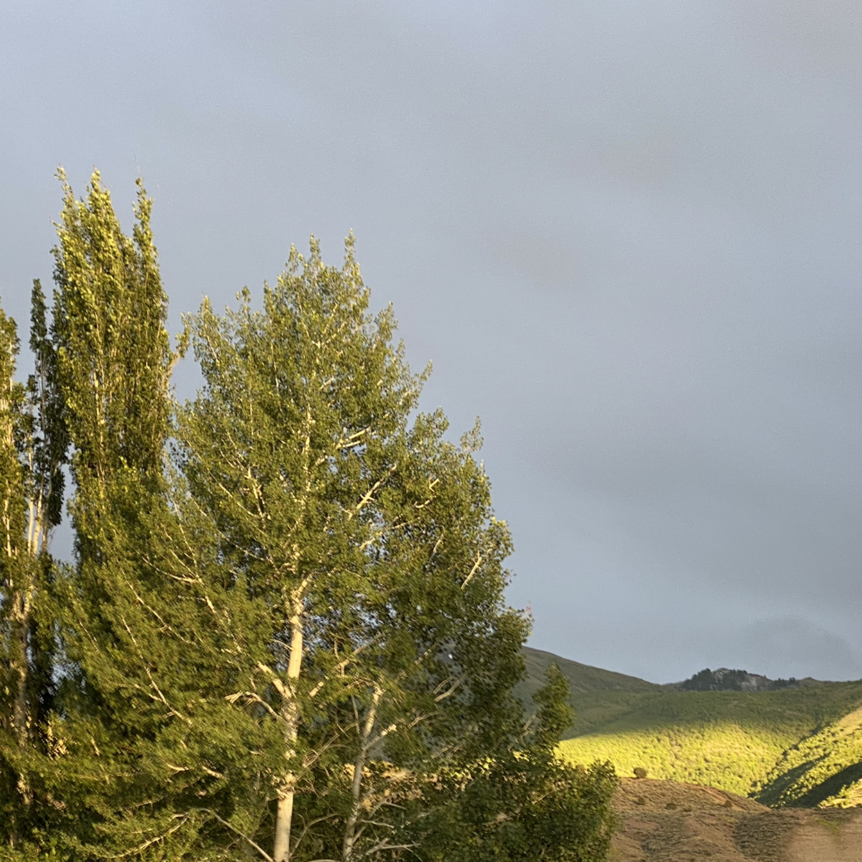 Avatar for @m.rubio on Greg, the plant care app