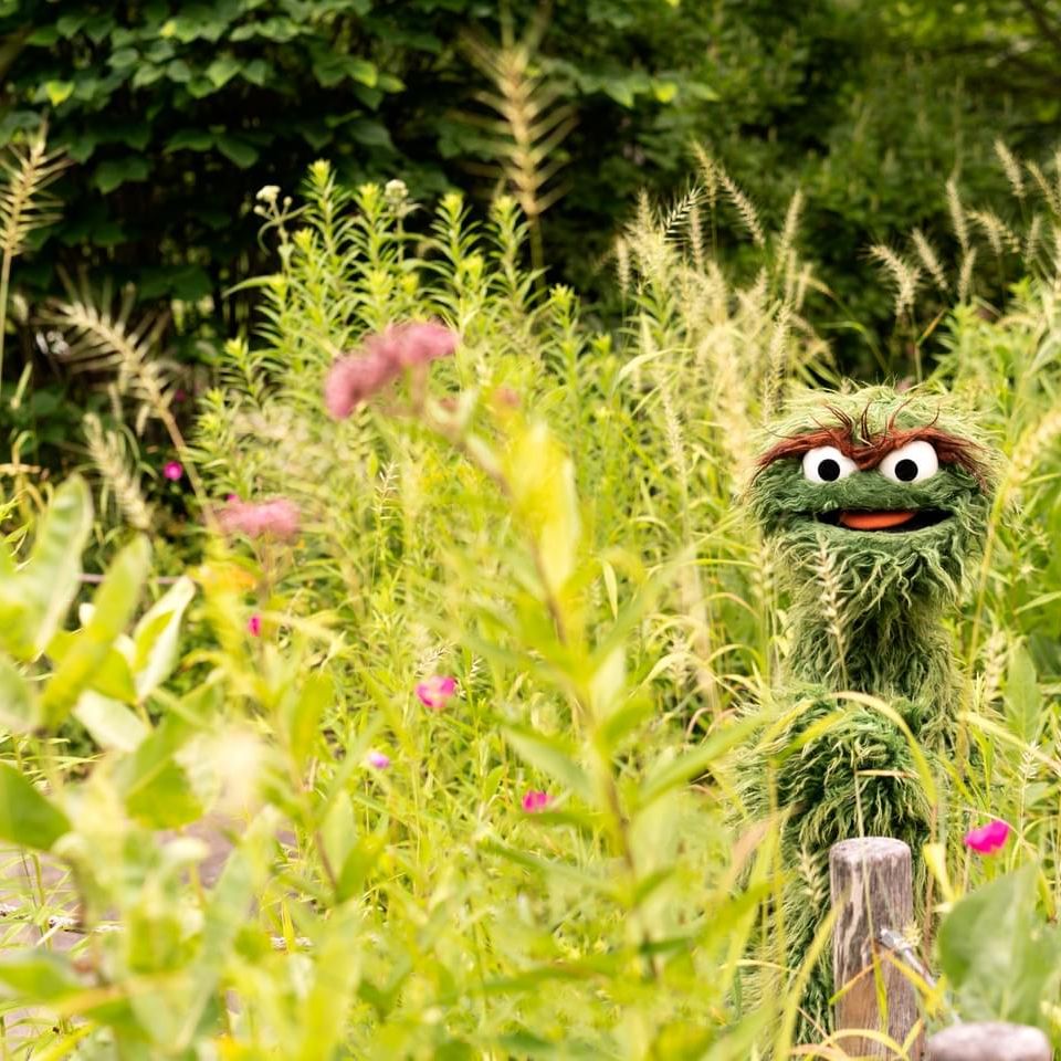 Avatar for @grapejlee on Greg, the plant care app